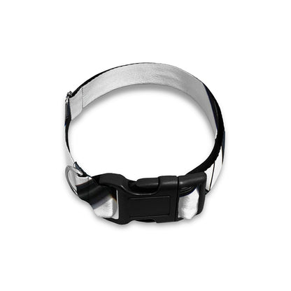 Spiral Piano Keyboard Print Dog Collar
