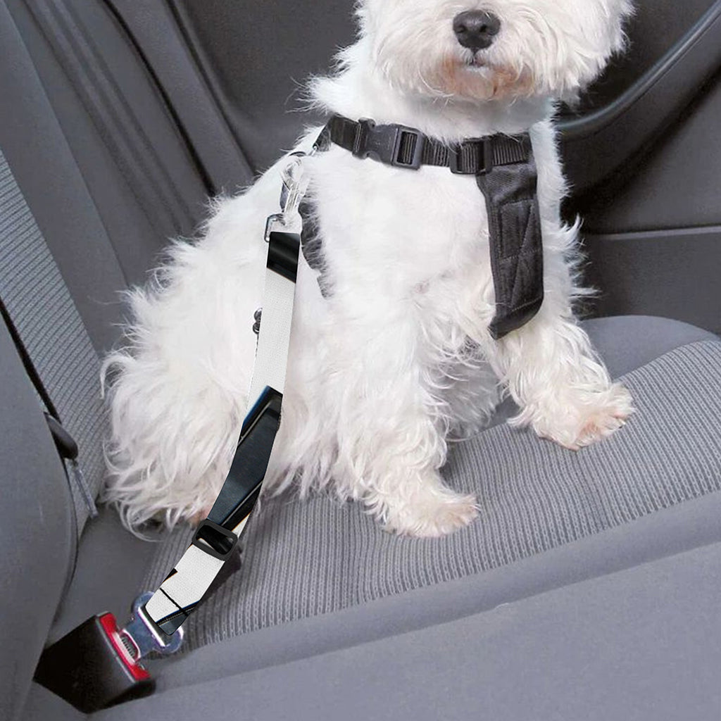 Spiral Piano Keyboard Print Dog Seat Belt