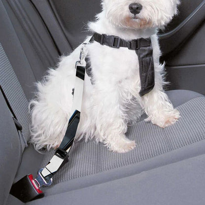 Spiral Piano Keyboard Print Dog Seat Belt