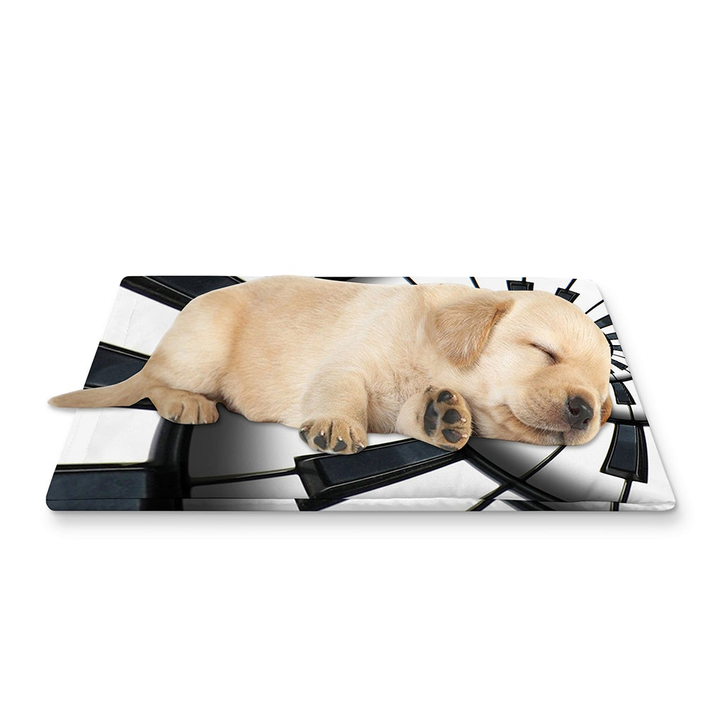 Spiral Piano Keyboard Print Pet Cooling Mat Cover