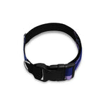 Spiritual Eye of Providence Print Dog Collar