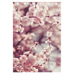 Spring Cherry Blossom Print Curtain