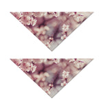 Spring Cherry Blossom Print Dog Bandana