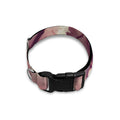 Spring Cherry Blossom Print Dog Collar