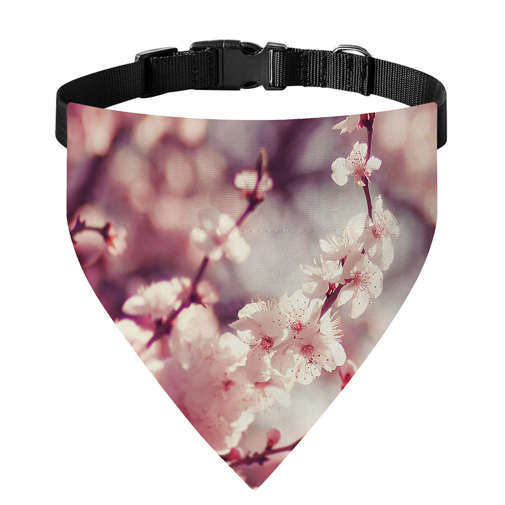 Spring Cherry Blossom Print Over The Collar Dog Bandana
