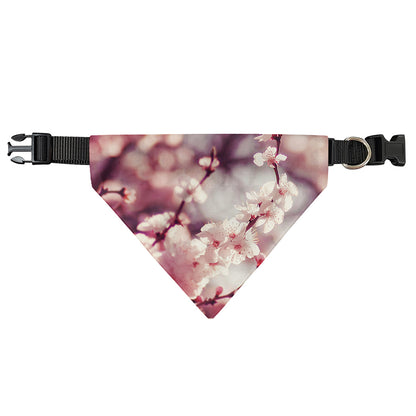Spring Cherry Blossom Print Over The Collar Dog Bandana