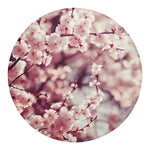 Spring Cherry Blossom Print Round Blanket