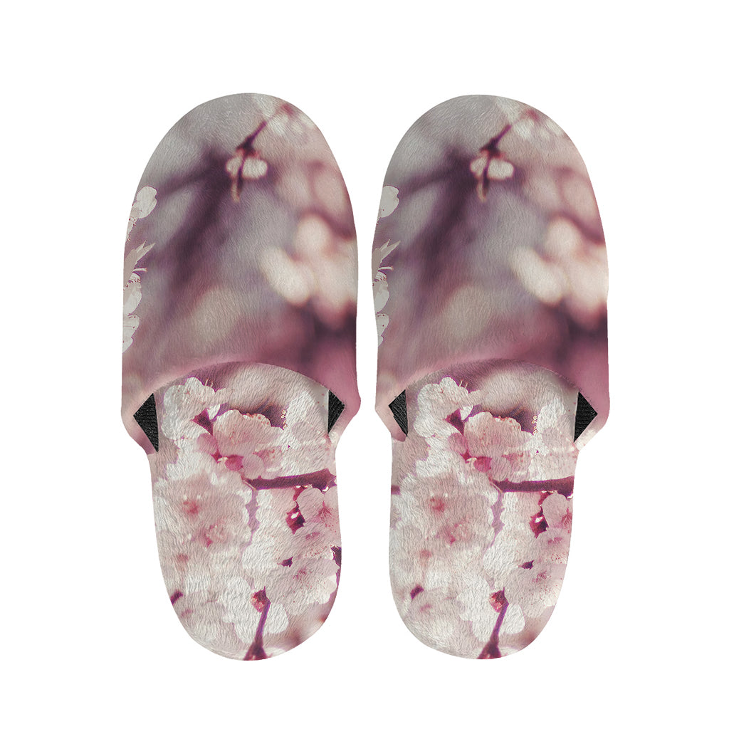 Spring Cherry Blossom Print Slippers