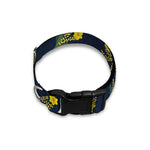 Spring Daffodil Flower Pattern Print Dog Collar