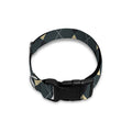 Spruce Blue And Beige Argyle Print Dog Collar