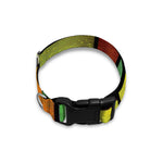 Square Stained Glass Mosaic Print Dog Collar