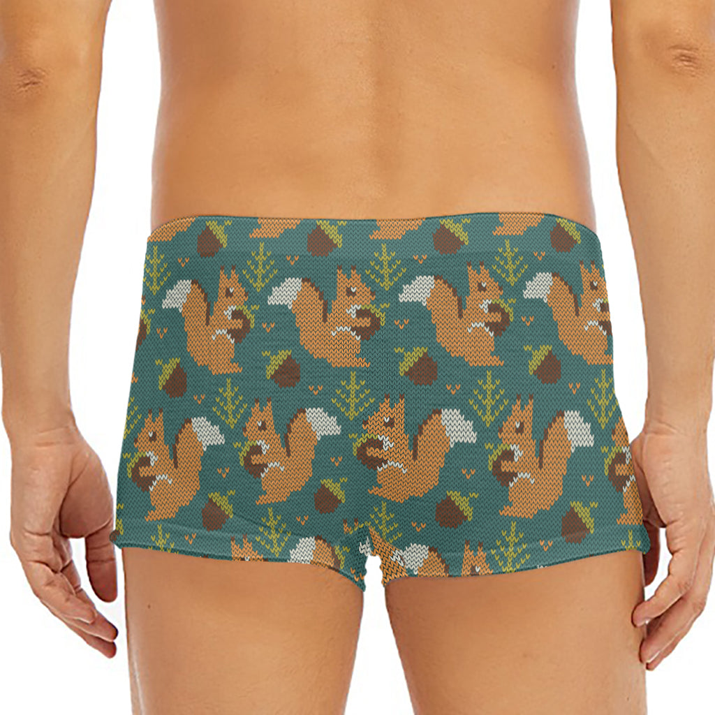 Squirrel Knitted Pattern Print Men's Short Boxer Briefs