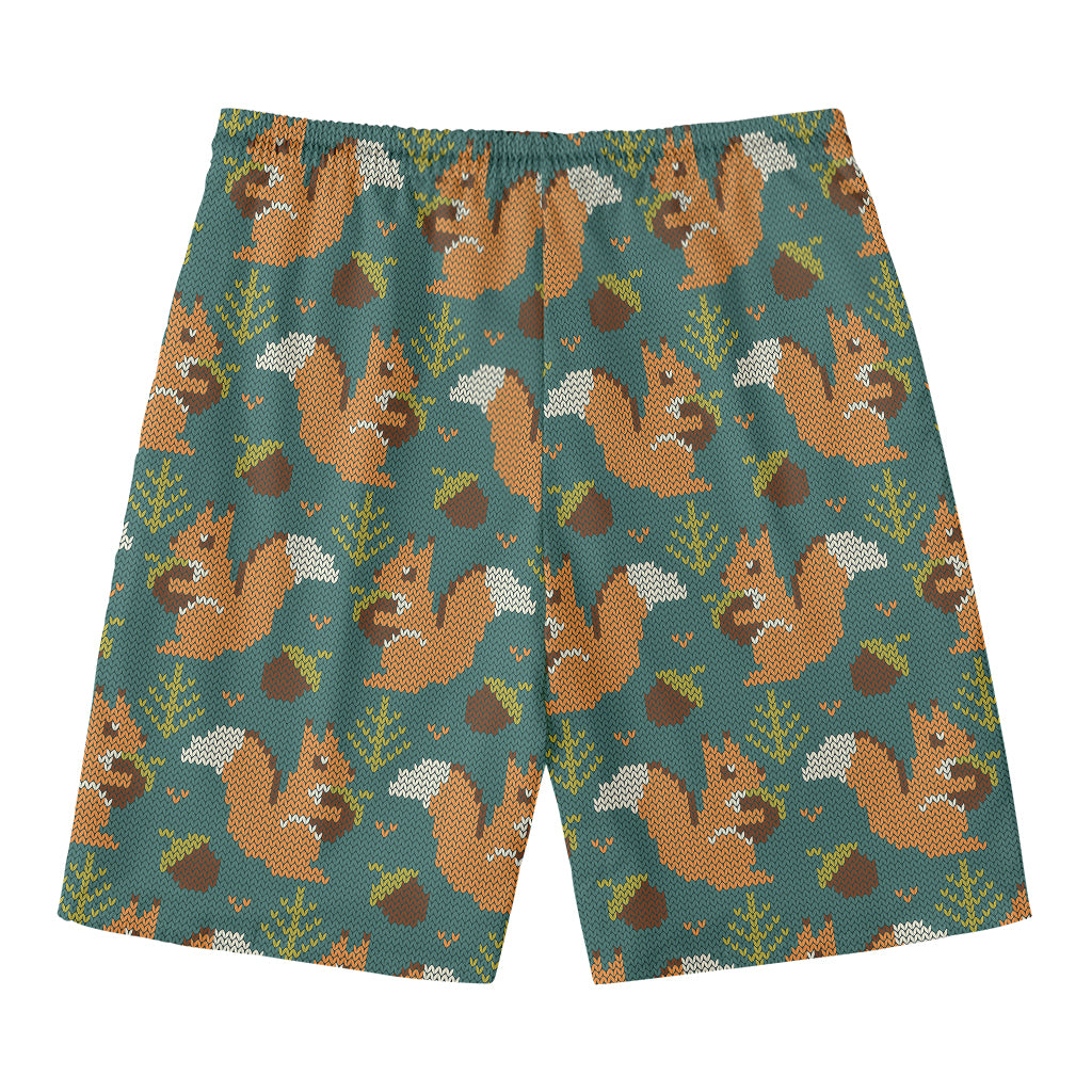 Squirrel Knitted Pattern Print Men's Swim Trunks