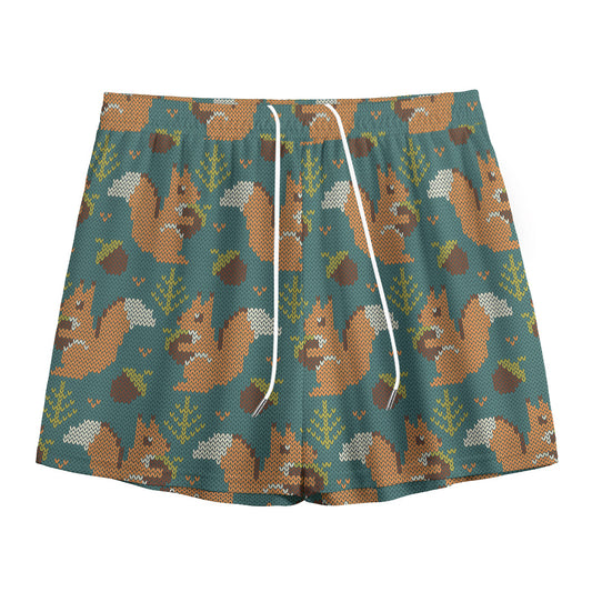Squirrel Knitted Pattern Print Mesh Shorts