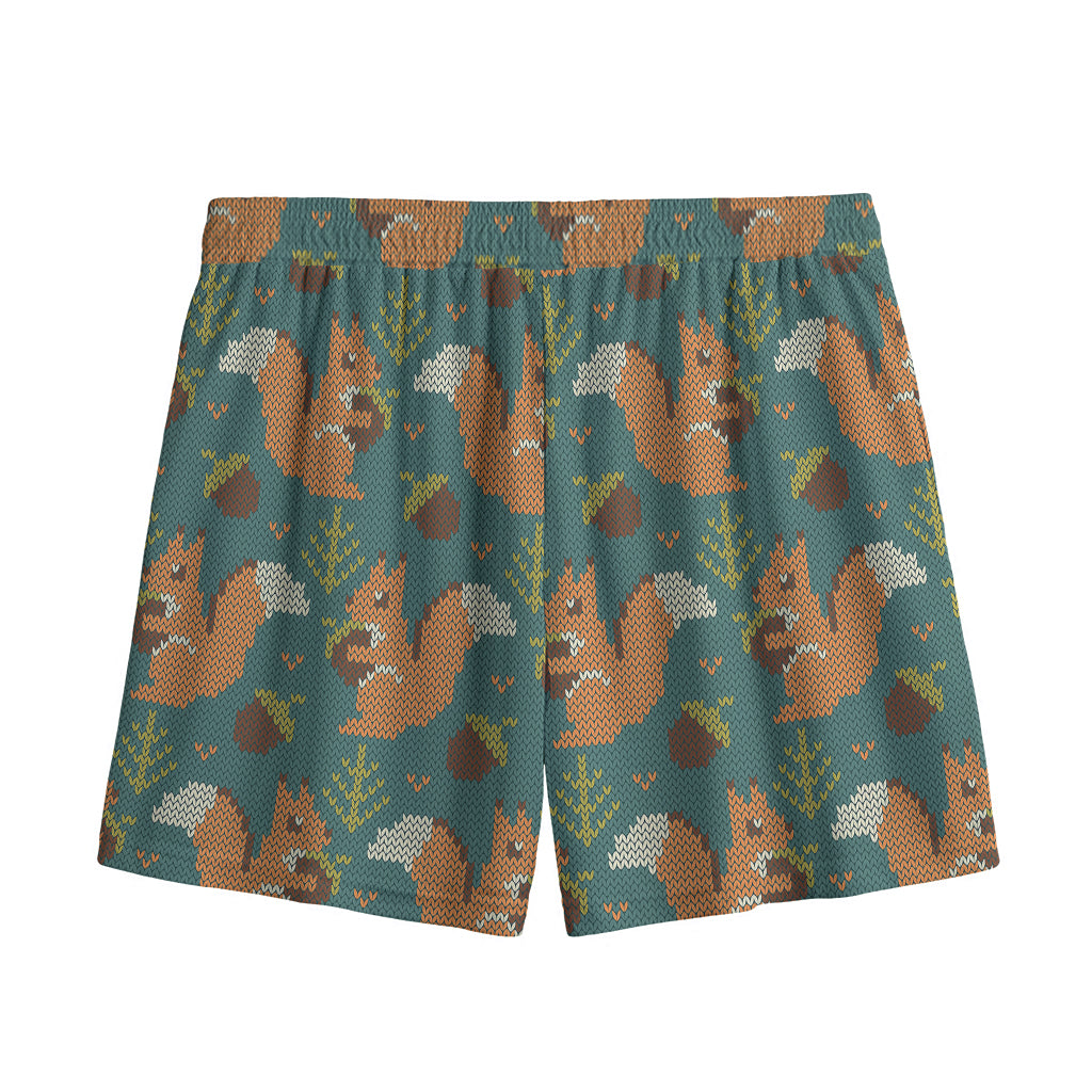 Squirrel Knitted Pattern Print Mesh Shorts