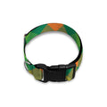 St. Patrick's Day Buffalo Pattern Print Dog Collar