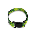 St. Patrick's Day Shamrock Pattern Print Dog Collar