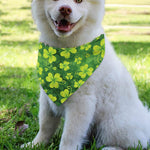 St. Patrick's Day Shamrock Pattern Print Over The Collar Dog Bandana