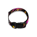 Star Fairy Unicorn Pattern Print Dog Collar