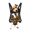 Steampunk Brass Cogs And Gears Print Pet Carrier Backpack