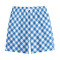 Steel Blue And White Gingham Print Cotton Shorts
