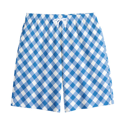 Steel Blue And White Gingham Print Cotton Shorts
