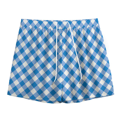 Steel Blue And White Gingham Print Mesh Shorts