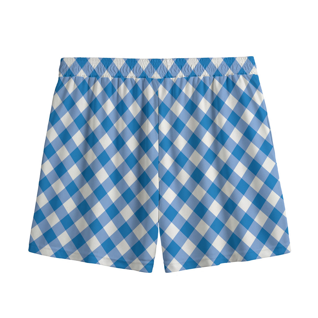 Steel Blue And White Gingham Print Mesh Shorts