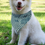 Steel Blue Snakeskin Print Over The Collar Dog Bandana