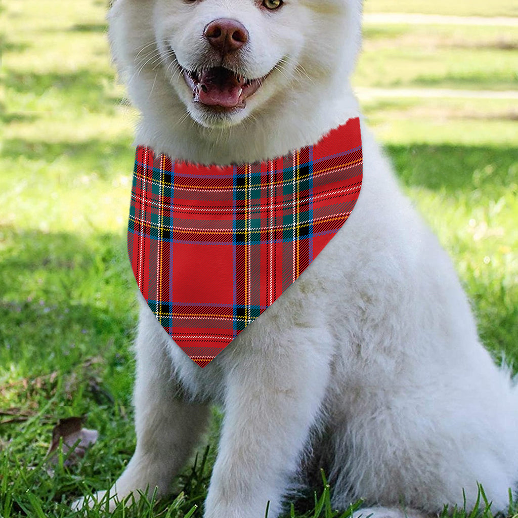 Stewart Tartan Scottish Pattern Print Over The Collar Dog Bandana