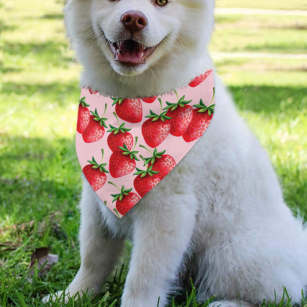 Strawberry Fruit Pattern Print Over The Collar Dog Bandana