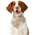 Sugar Brown Marble Print Dog Bandana
