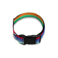 Sugar Skull Mexican Serape Pattern Print Dog Collar