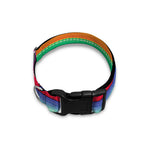Sugar Skull Mexican Serape Pattern Print Dog Collar