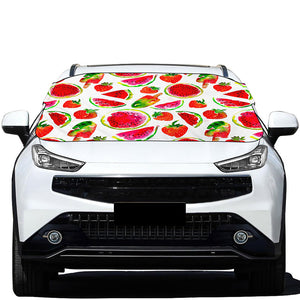 Summer Fruits Watermelon Pattern Print Car Windshield Snow Cover