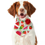 Summer Fruits Watermelon Pattern Print Dog Bandana