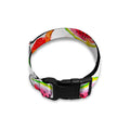 Summer Fruits Watermelon Pattern Print Dog Collar