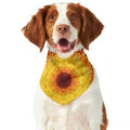 Sun Fire Kaleidoscope Print Dog Bandana