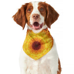 Sun Fire Kaleidoscope Print Dog Bandana