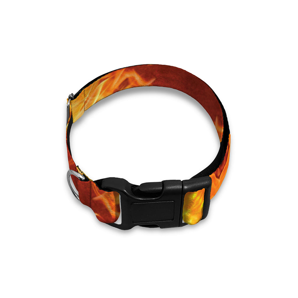 Sun Fire Kaleidoscope Print Dog Collar