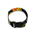 Sunflower Chamomile Pattern Print Dog Collar