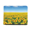Sunflower Field Print Bifold Wallet