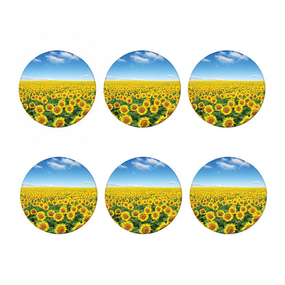 Sunflower Field Print Coaster Set