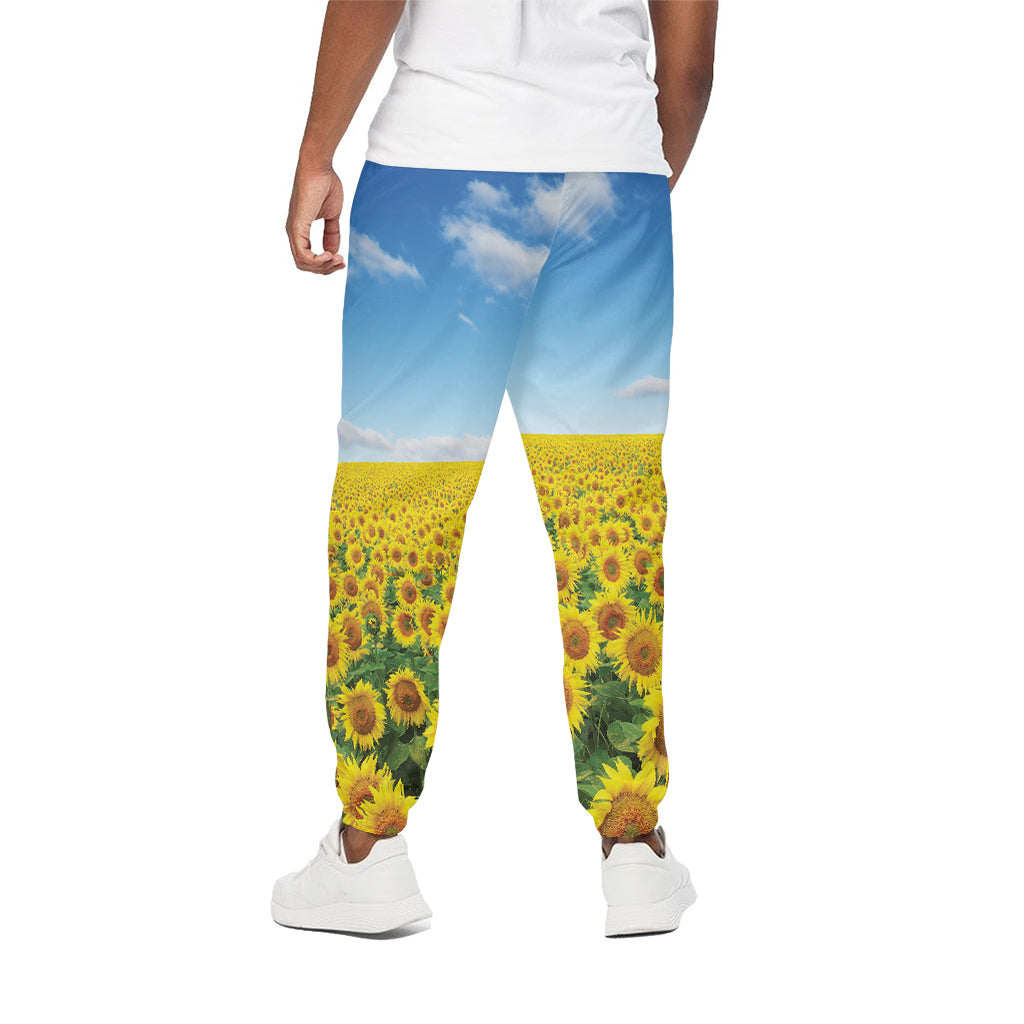 Sunflower Field Print Cotton Pants