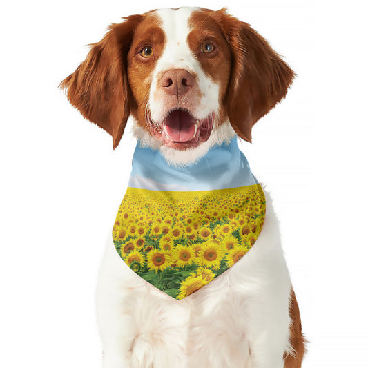 Sunflower Field Print Dog Bandana