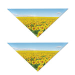 Sunflower Field Print Dog Bandana