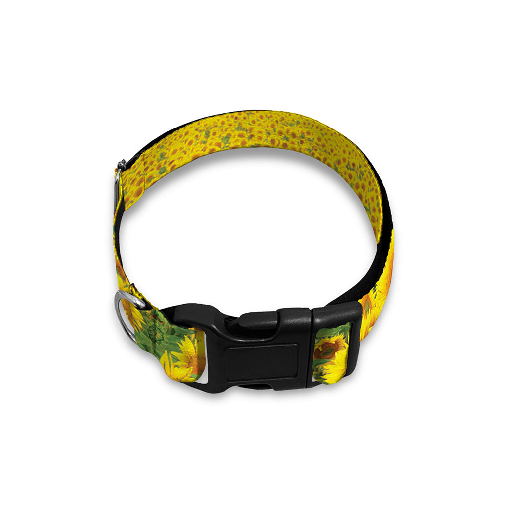 Sunflower Field Print Dog Collar
