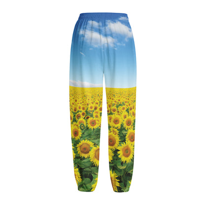 Sunflower Field Print Fleece Lined Knit Pants