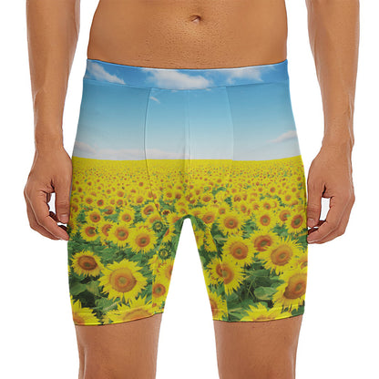 Sunflower Field Print Men's Long Boxer Briefs