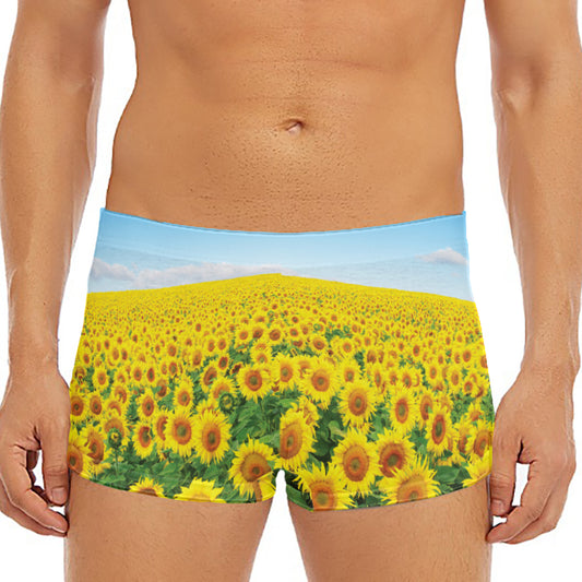 Sunflower Field Print Men's Short Boxer Briefs